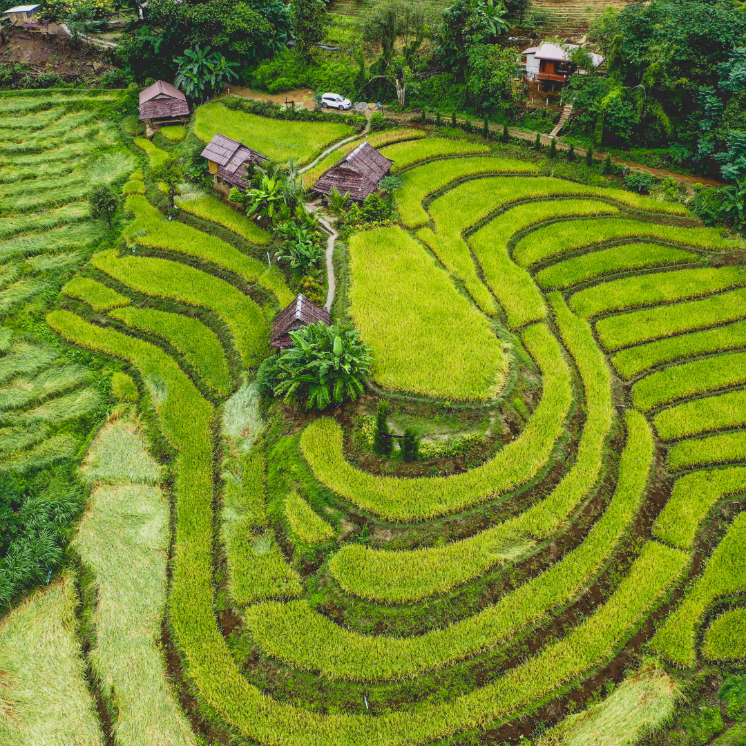 Krabi